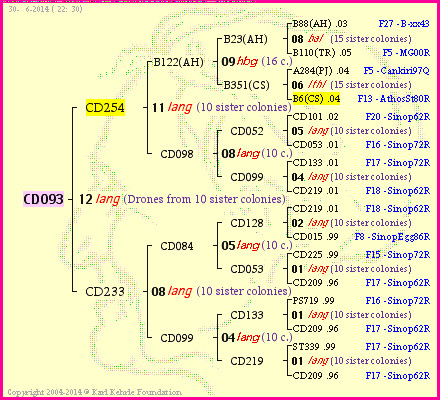 Pedigree of CD093 :
four generations presented