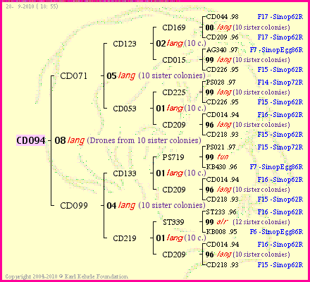 Pedigree of CD094 :
four generations presented