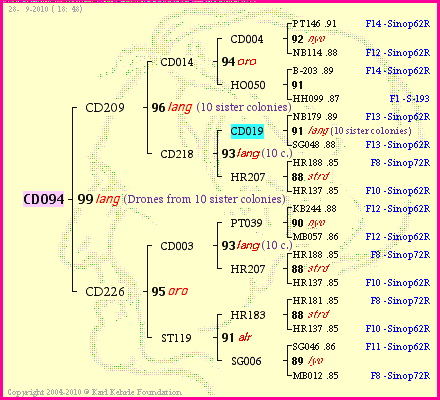 Pedigree of CD094 :
four generations presented