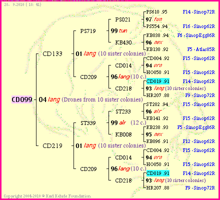 Pedigree of CD099 :
four generations presented
it's temporarily unavailable, sorry!