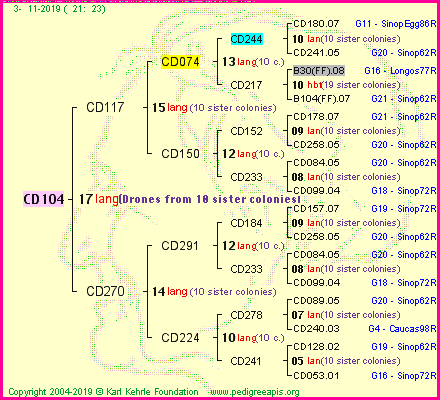 Pedigree of CD104 :
four generations presented
it's temporarily unavailable, sorry!