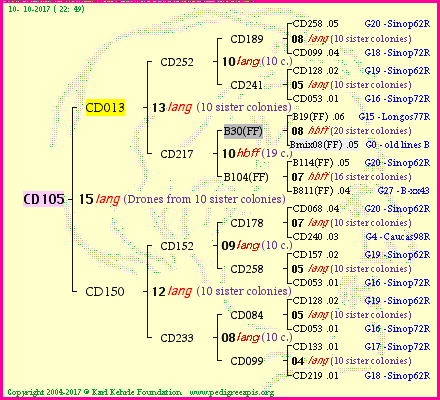 Pedigree of CD105 :
four generations presented