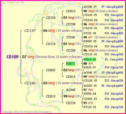 Pedigree of CD109 :
four generations presented