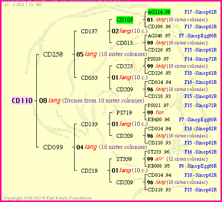 Pedigree of CD110 :
four generations presented