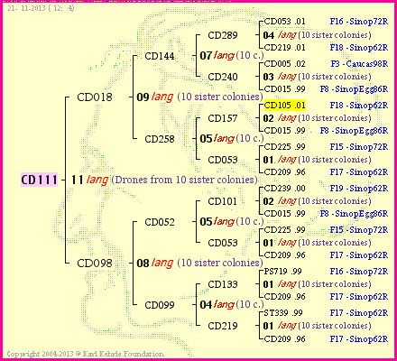 Pedigree of CD111 :
four generations presented