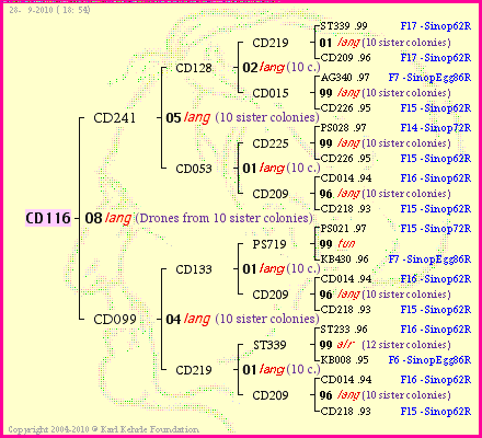 Pedigree of CD116 :
four generations presented