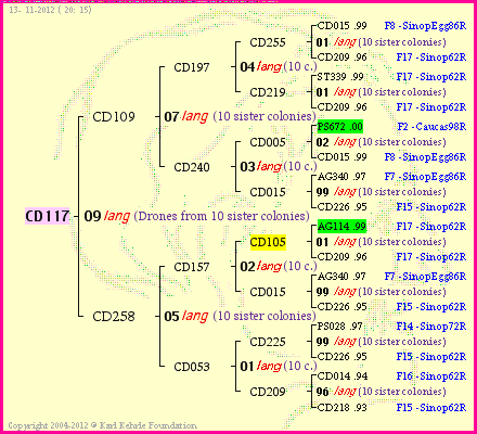 Pedigree of CD117 :
four generations presented