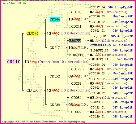 Pedigree of CD117 :
four generations presented