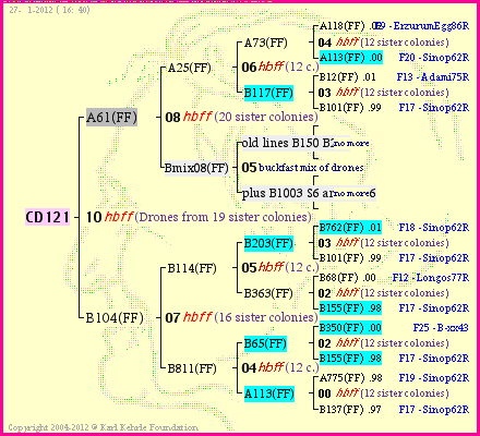 Pedigree of CD121 :
four generations presented