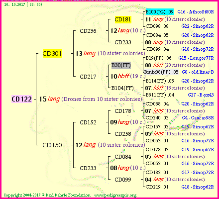 Pedigree of CD122 :
four generations presented