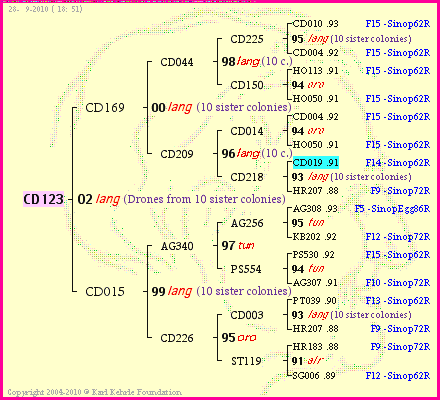 Pedigree of CD123 :
four generations presented