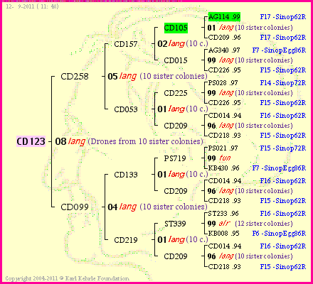 Pedigree of CD123 :
four generations presented