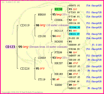 Pedigree of CD123 :
four generations presented