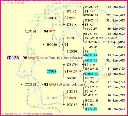 Pedigree of CD126 :
four generations presented