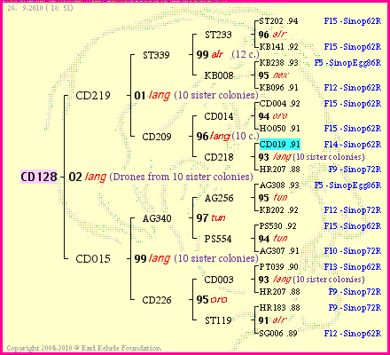 Pedigree of CD128 :
four generations presented