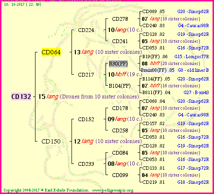 Pedigree of CD132 :
four generations presented