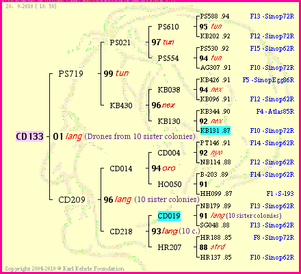 Pedigree of CD133 :
four generations presented