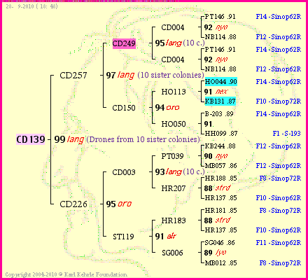 Pedigree of CD139 :
four generations presented