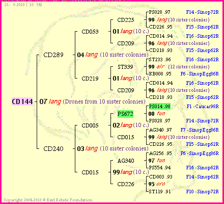 Pedigree of CD144 :
four generations presented