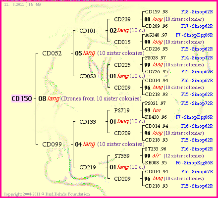 Pedigree of CD150 :
four generations presented