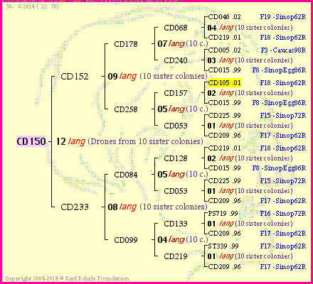 Pedigree of CD150 :
four generations presented
it's temporarily unavailable, sorry!