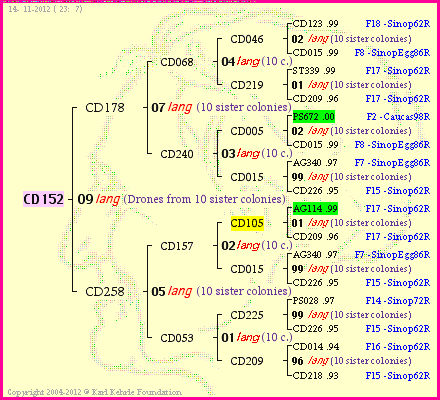 Pedigree of CD152 :
four generations presented