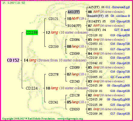 Pedigree of CD152 :
four generations presented