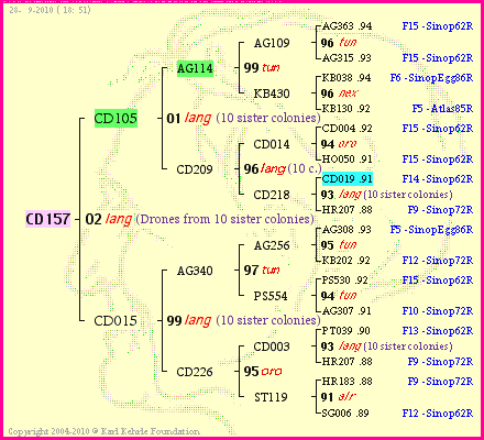 Pedigree of CD157 :
four generations presented