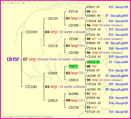 Pedigree of CD157 :
four generations presented