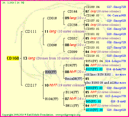 Pedigree of CD168 :
four generations presented