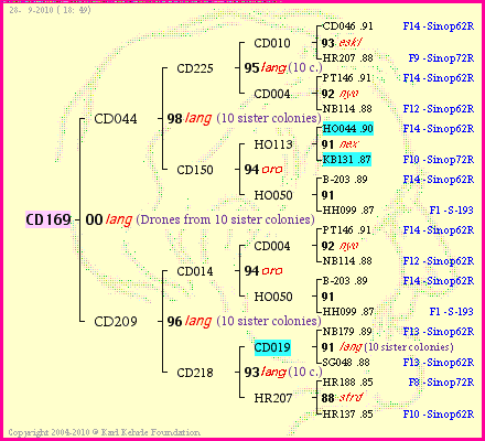 Pedigree of CD169 :
four generations presented