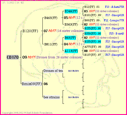 Pedigree of CD170 :
four generations presented