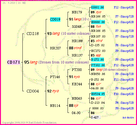 Pedigree of CD171 :
four generations presented