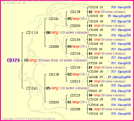 Pedigree of CD174 :
four generations presented