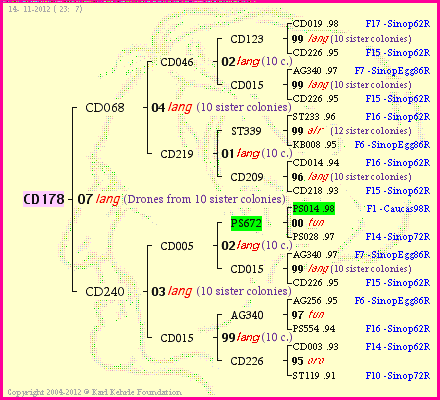 Pedigree of CD178 :
four generations presented