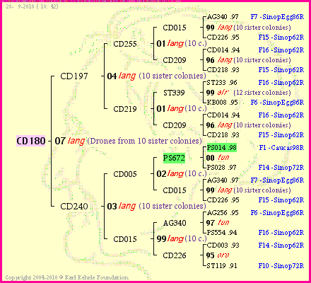 Pedigree of CD180 :
four generations presented