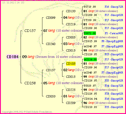 Pedigree of CD184 :
four generations presented