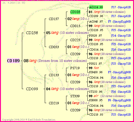 Pedigree of CD189 :
four generations presented