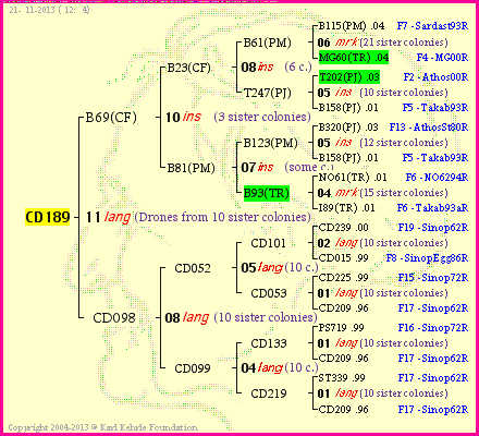 Pedigree of CD189 :
four generations presented
