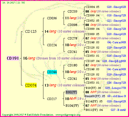 Pedigree of CD191 :
four generations presented
it's temporarily unavailable, sorry!