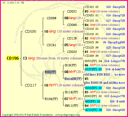 Pedigree of CD196 :
four generations presented