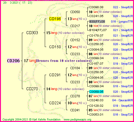 Pedigree of CD206 :
four generations presented
it's temporarily unavailable, sorry!