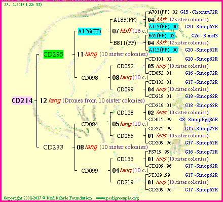 Pedigree of CD214 :
four generations presented