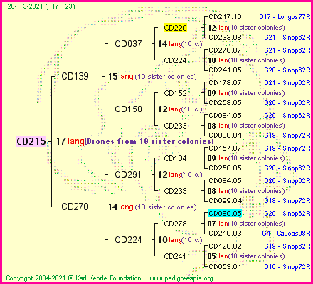 Pedigree of CD215 :
four generations presented
it's temporarily unavailable, sorry!