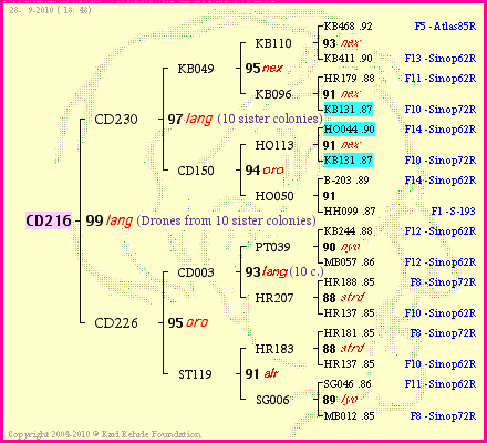 Pedigree of CD216 :
four generations presented