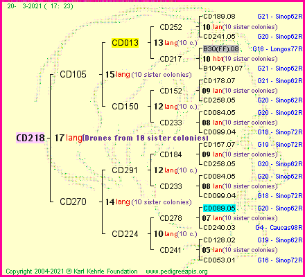 Pedigree of CD218 :
four generations presented
it's temporarily unavailable, sorry!