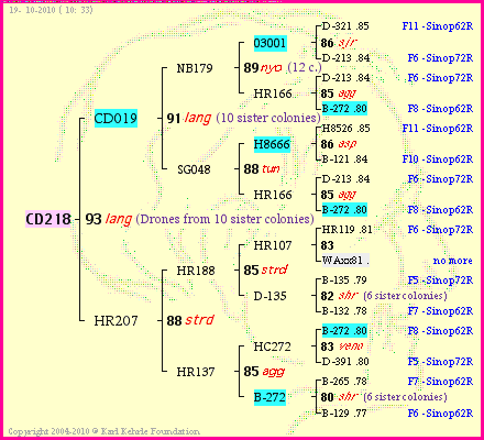 Pedigree of CD218 :
four generations presented
it's temporarily unavailable, sorry!