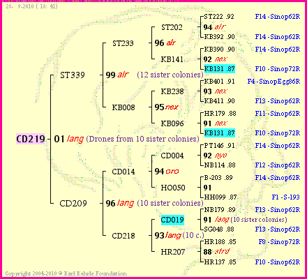 Pedigree of CD219 :
four generations presented
it's temporarily unavailable, sorry!