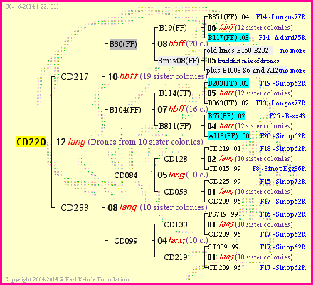 Pedigree of CD220 :
four generations presented