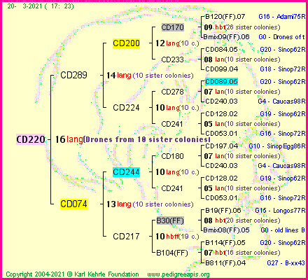 Pedigree of CD220 :
four generations presented
it's temporarily unavailable, sorry!